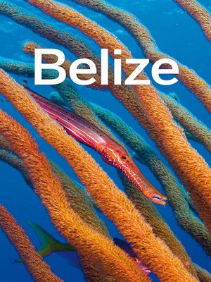 cover image of Belize Travel Guide